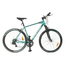 Stallion 700C Hybrid Road Bicycle (BY-ST-SR050)